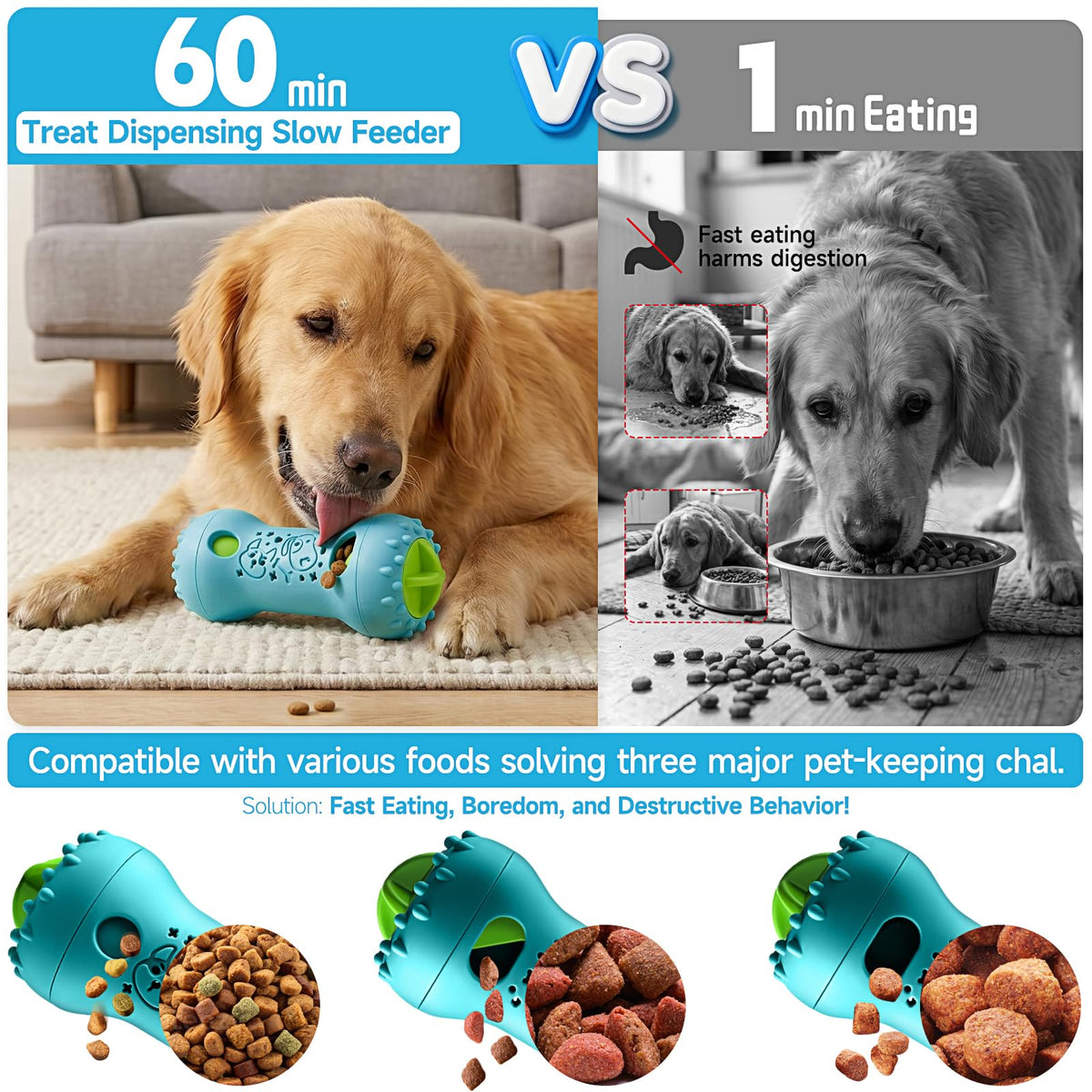 Treat-Dispensing Dog Puzzle