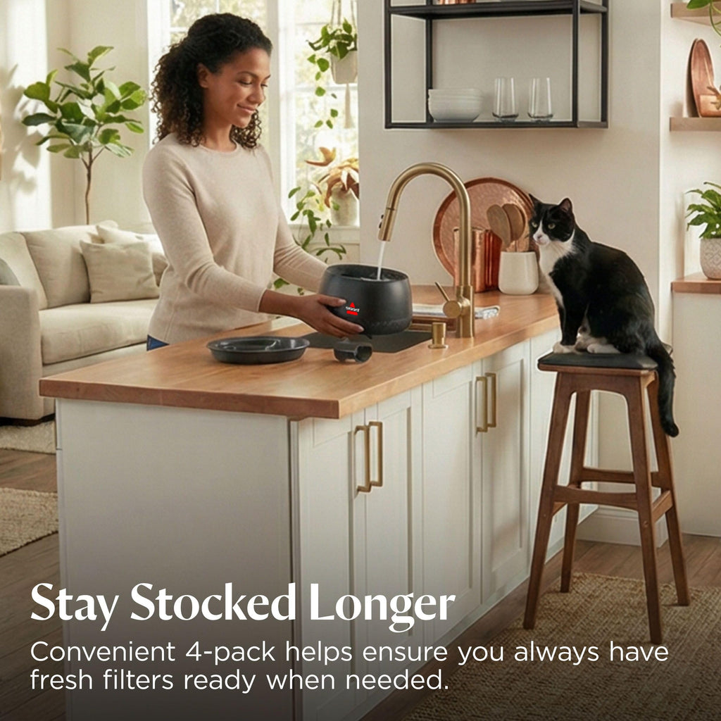 Cat Water Fountain & Filter Options
