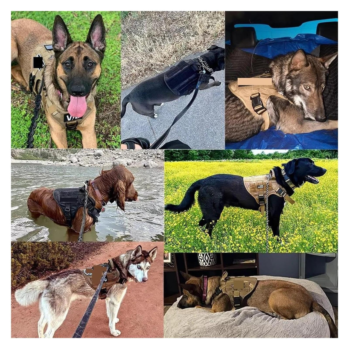 Adjustable Dog Harness, Collar & Leash Set
