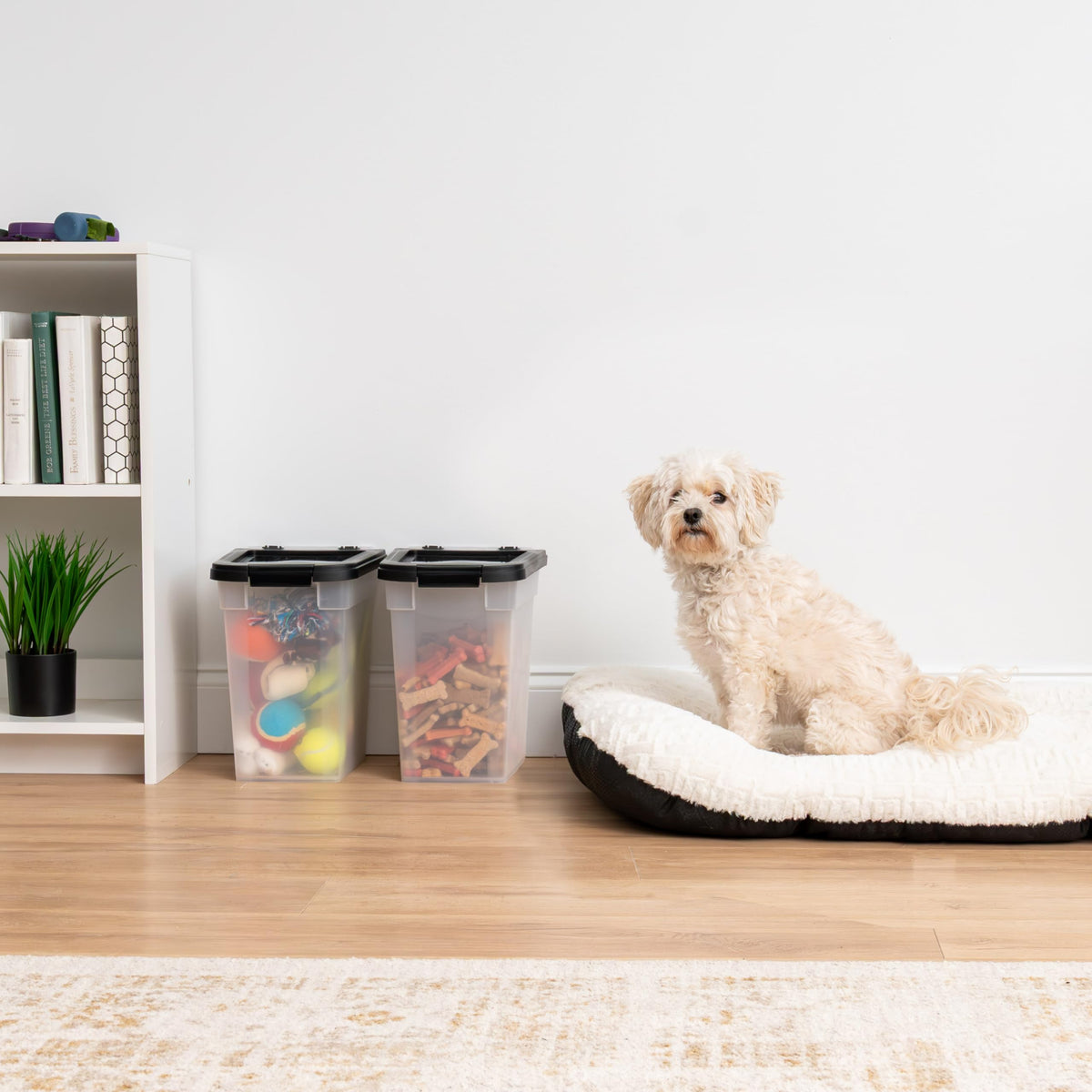 Airtight Pet Food Bin Set
