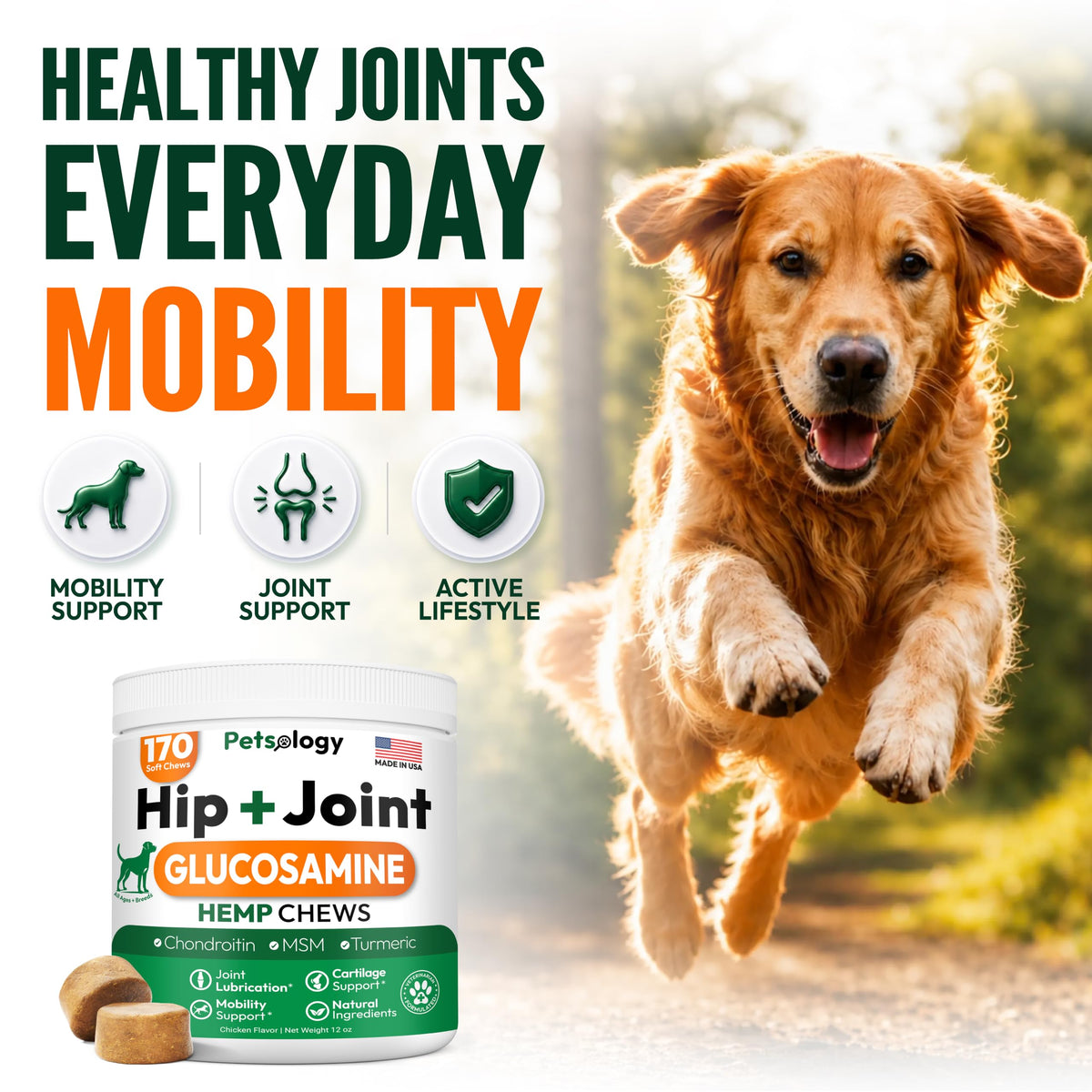 Glucosamine Dog Joint Supplement