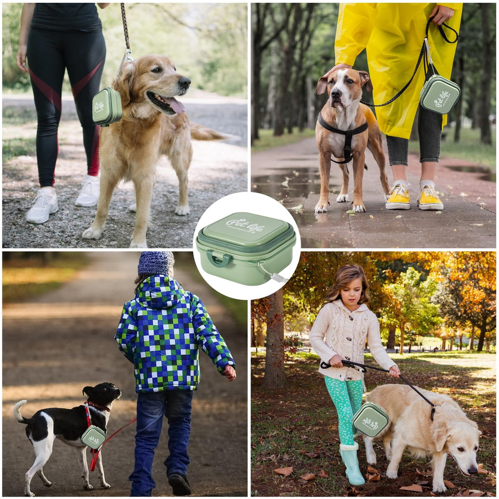 Collapsible Food & Water Travel Bowl