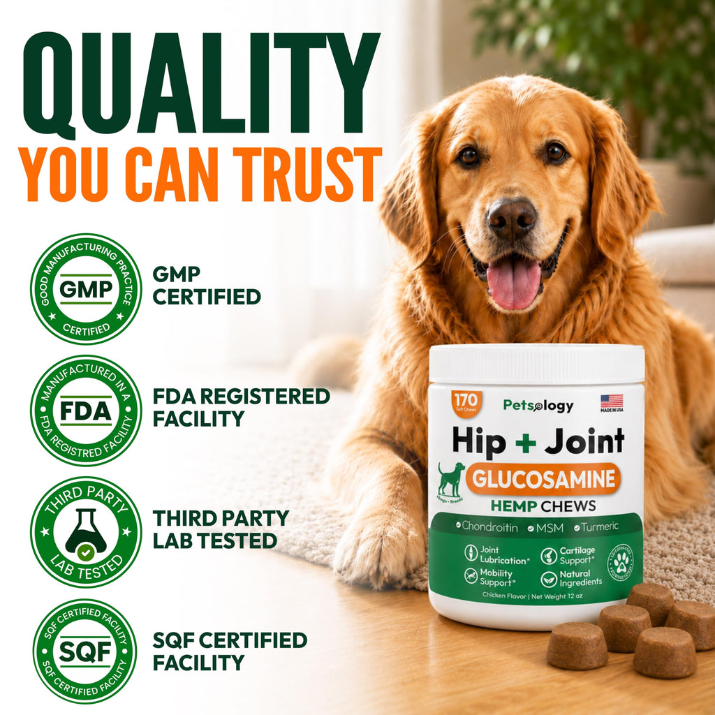 Glucosamine Dog Joint Supplement