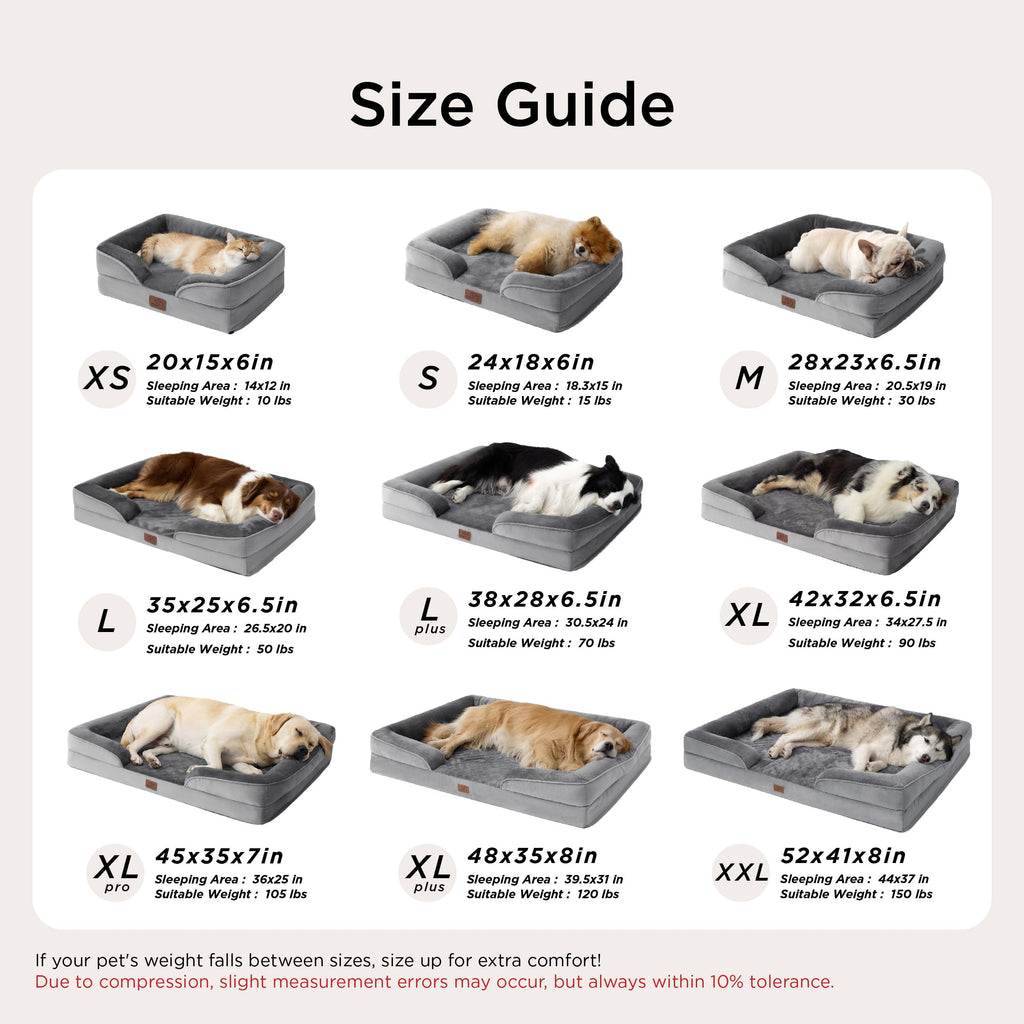 Bolstered Foam Dog Bed