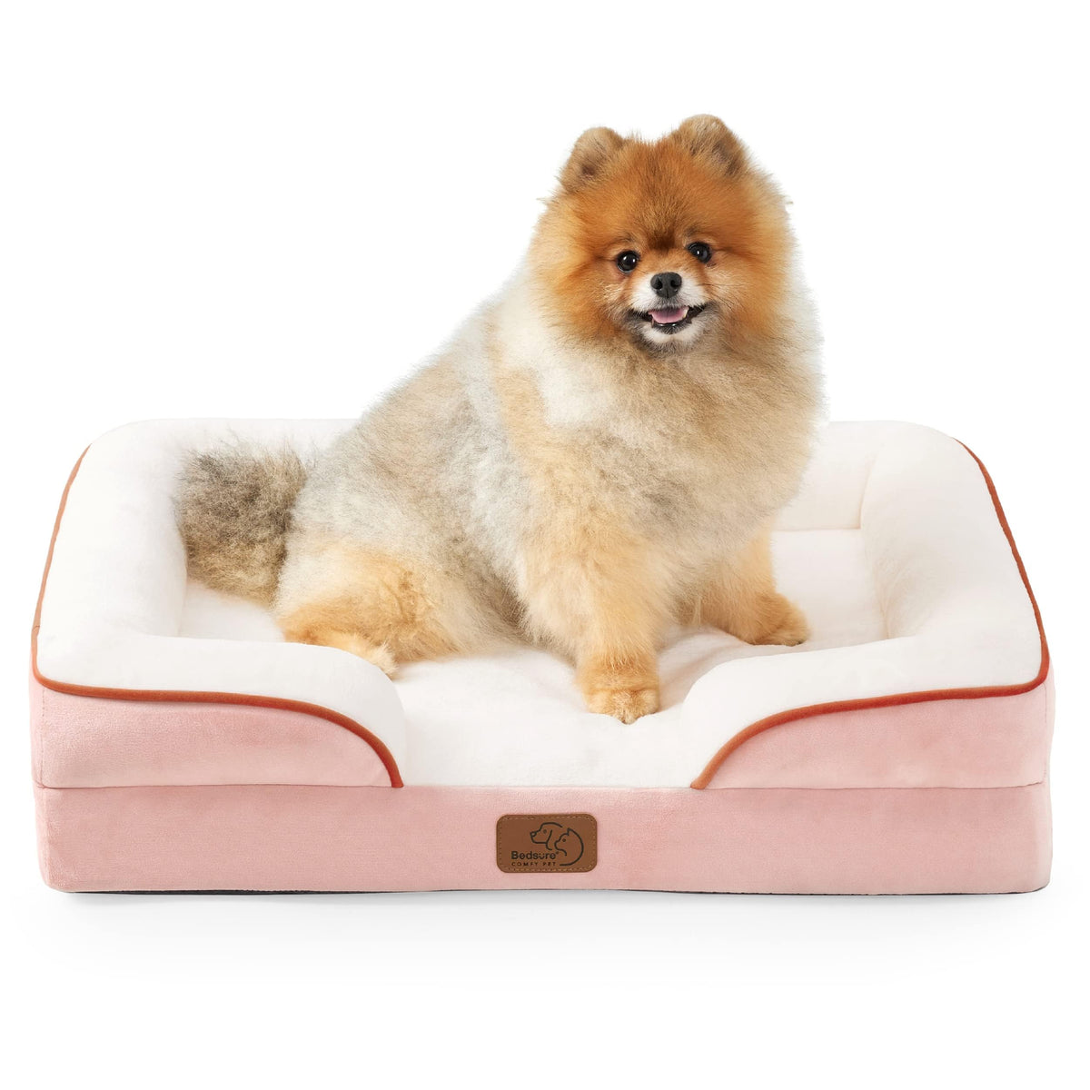 Bolstered Foam Dog Bed