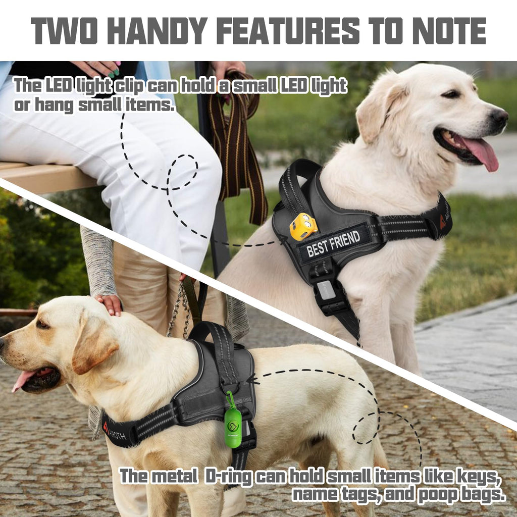 Padded Dog Harness & Leash Set