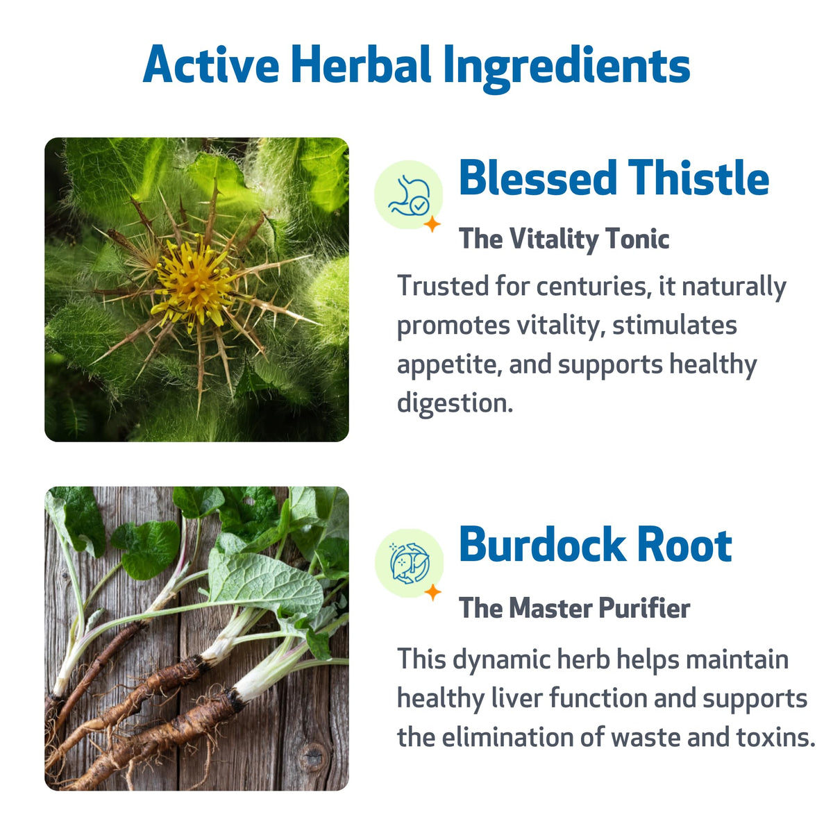 Herbal Dog Wellness Supplement