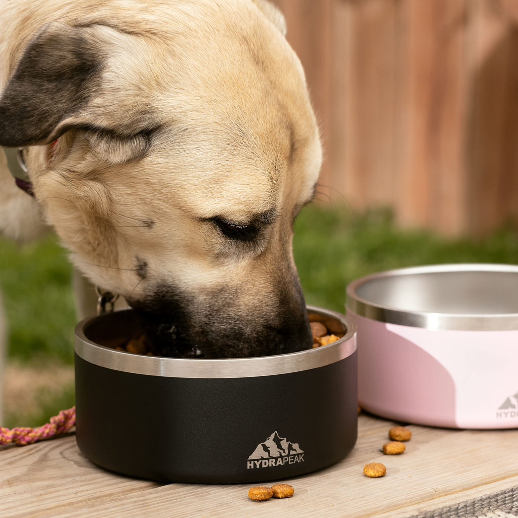 4-Cup Nonslip Dog Bowl