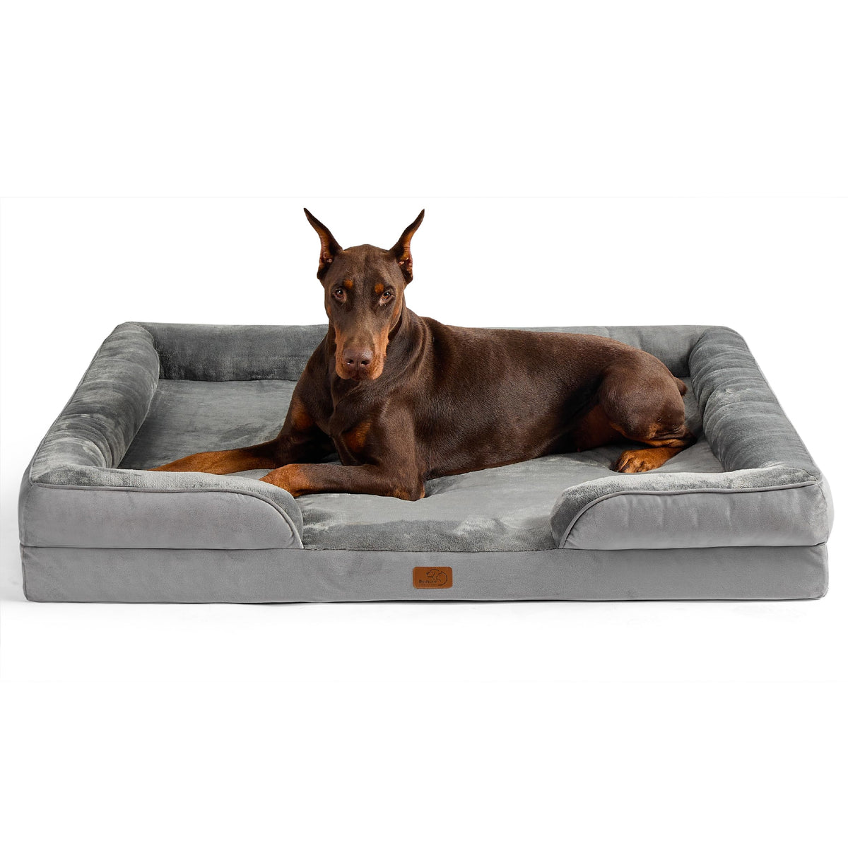 Bolstered Foam Dog Bed
