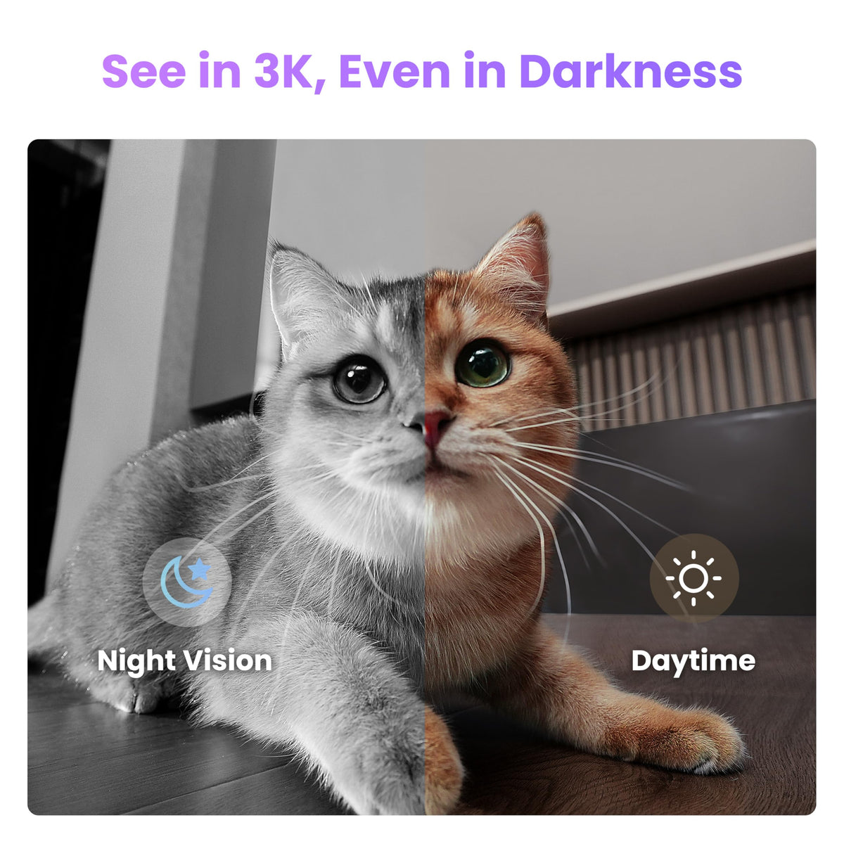 Mobile 3K Pet Camera Robot