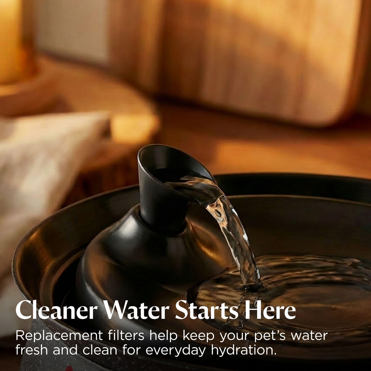 Cat Water Fountain & Filter Options