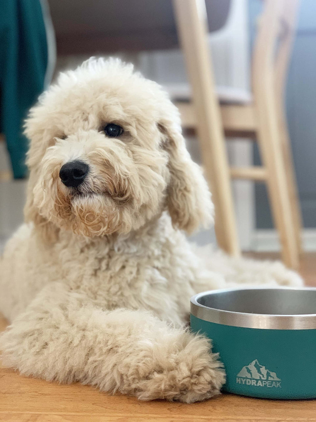 4-Cup Nonslip Dog Bowl