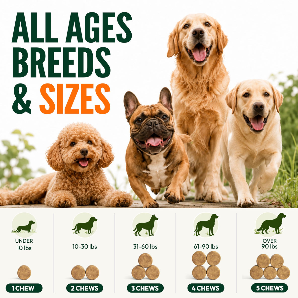 Glucosamine Dog Joint Supplement