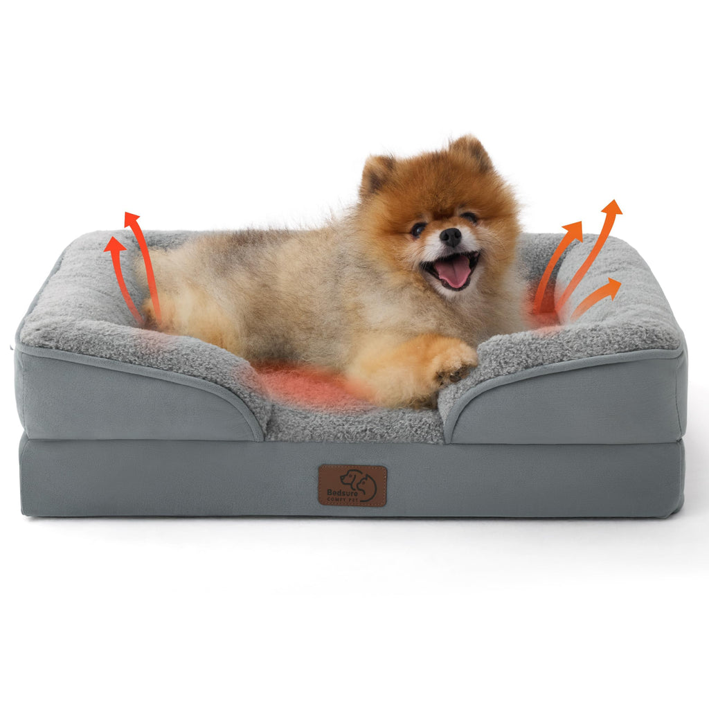 Bolstered Foam Dog Bed