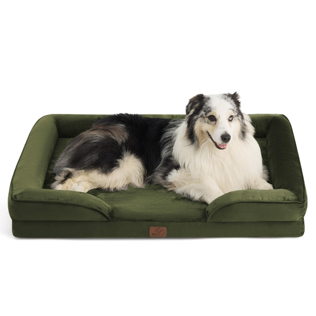 Bolstered Foam Dog Bed