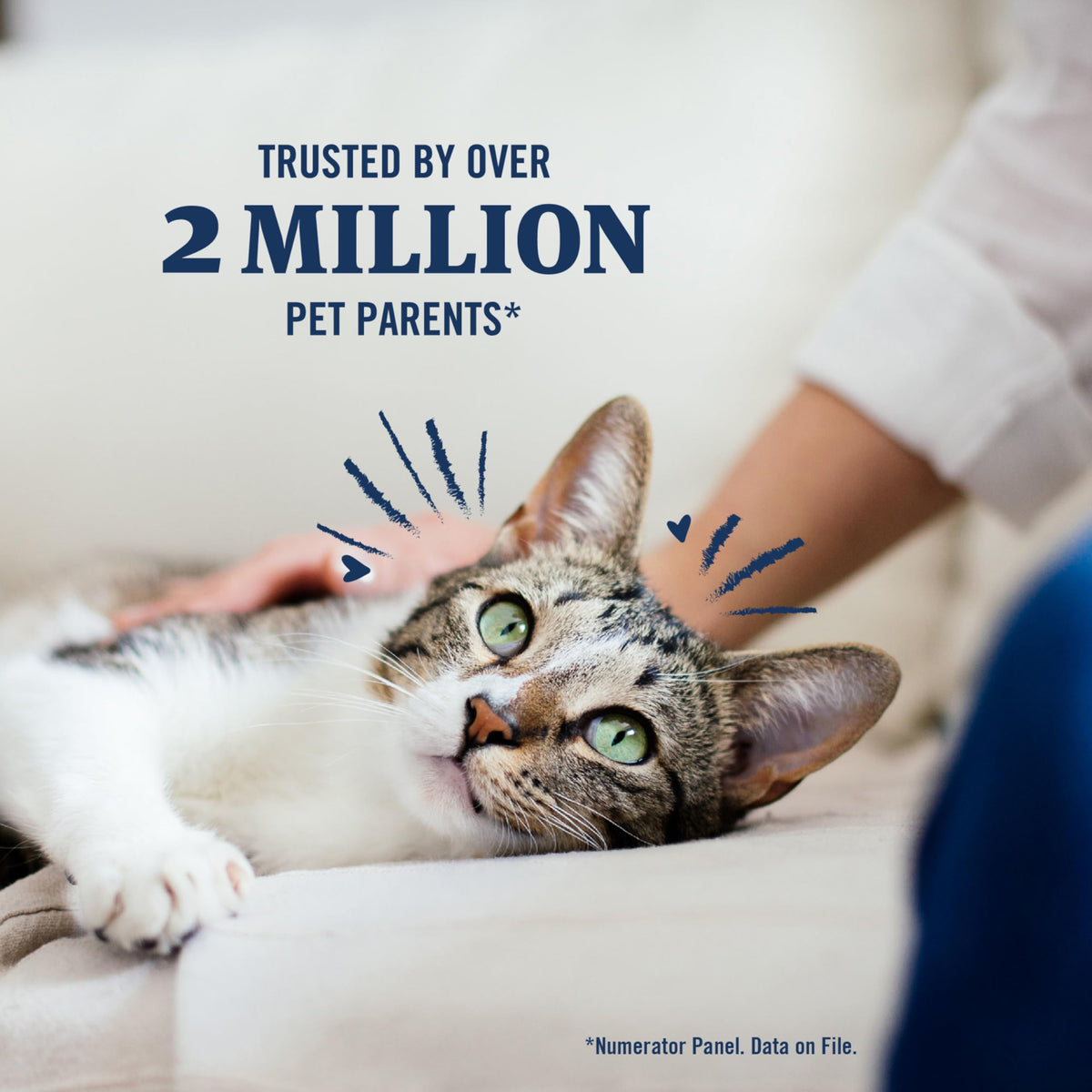 Flea & Tick Treatment for Pets