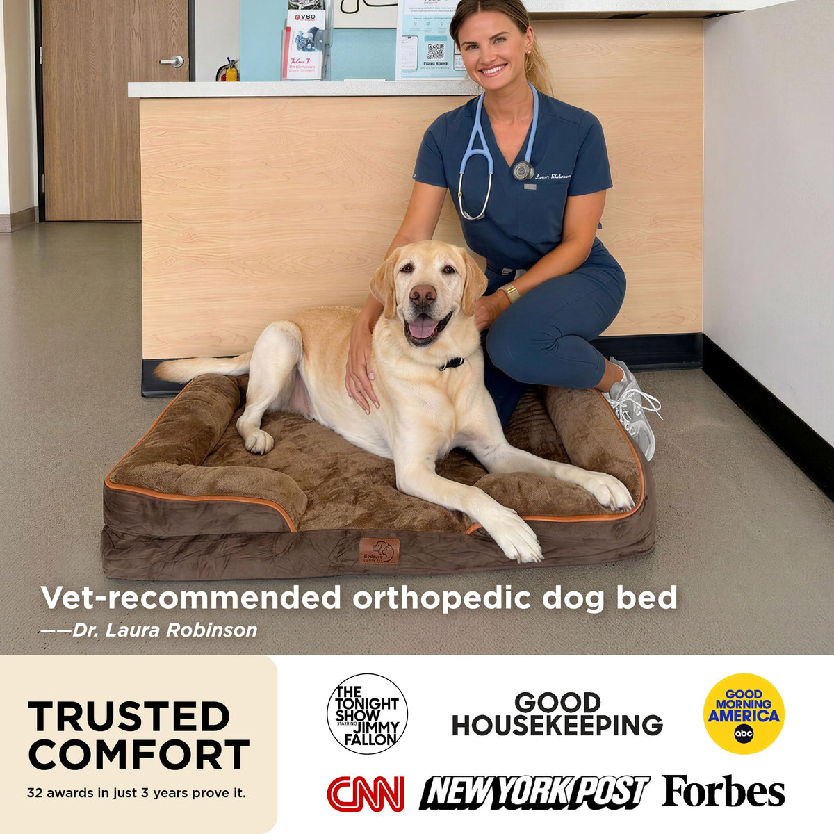 Bolstered Foam Dog Bed