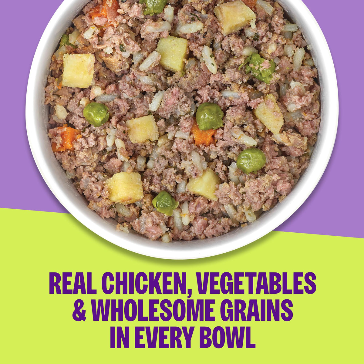 Chicken & Grain Wet Dog Food, 6 Pack