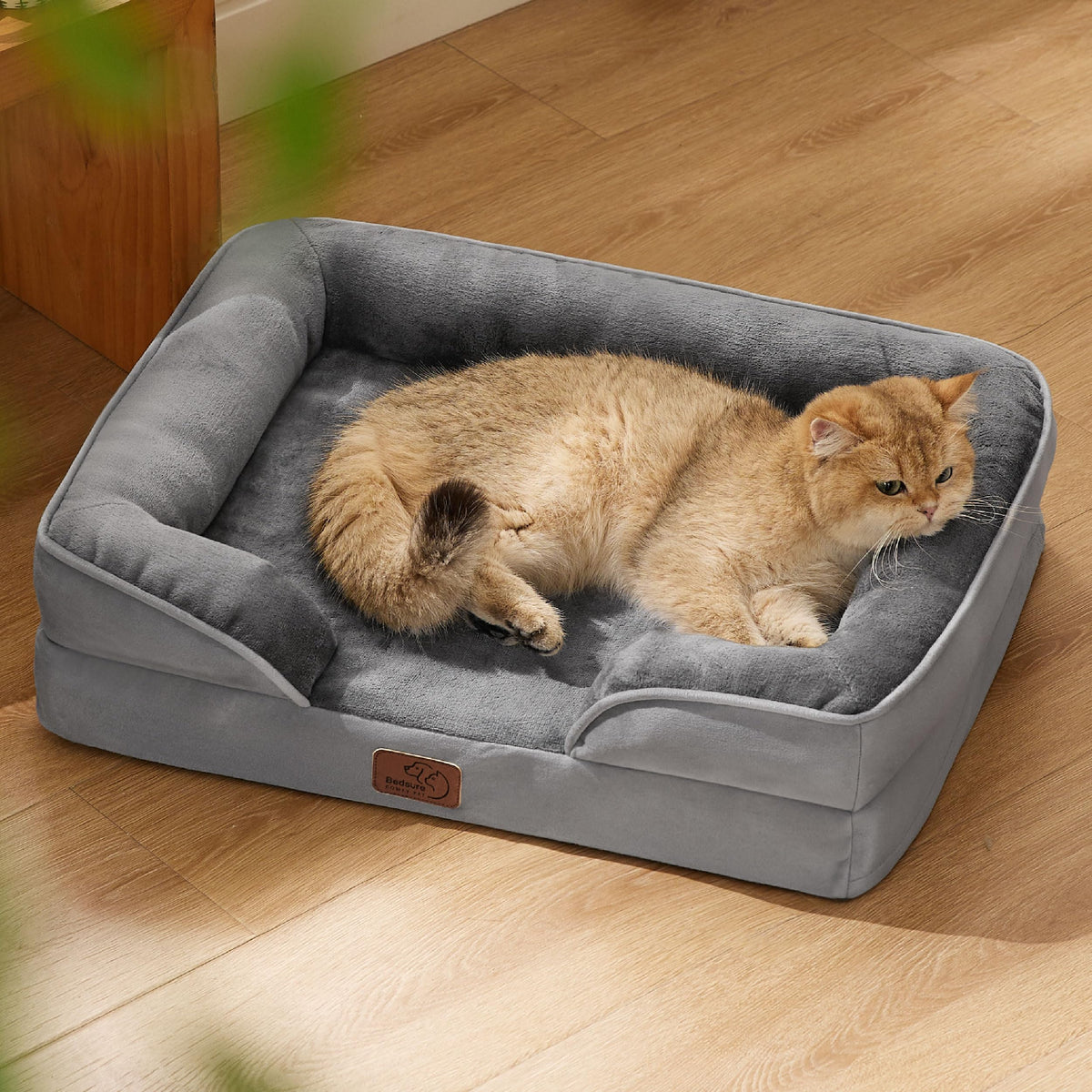 Bolstered Foam Dog Bed