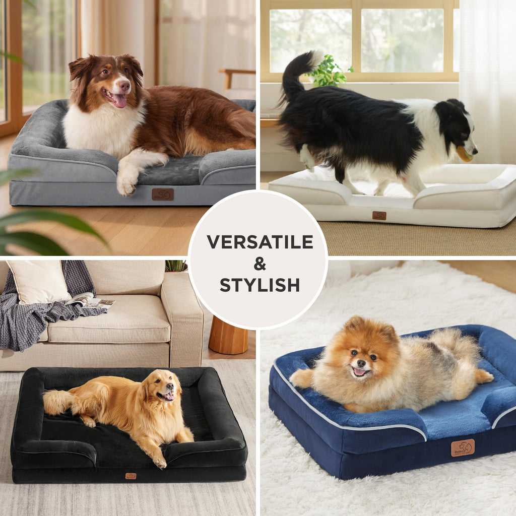 Bolstered Foam Dog Bed